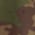 Close-up of camouflage fabric pattern in green and brown tones